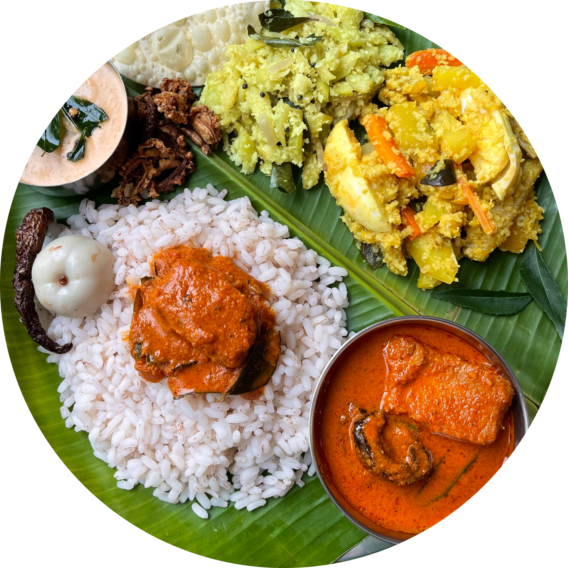 Fish Meals